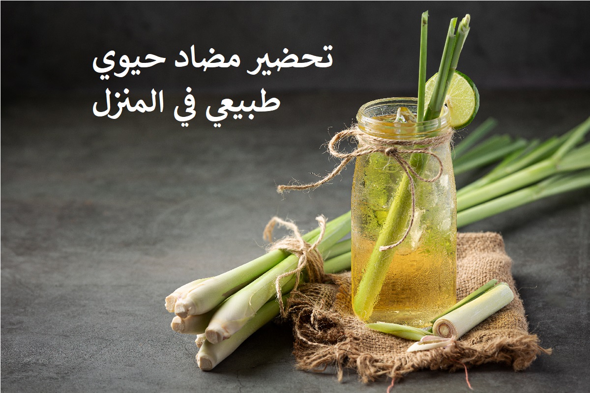 كيفية تحضير مضاد حيوي ( antibiotic ) طبيعي في المنزل؟