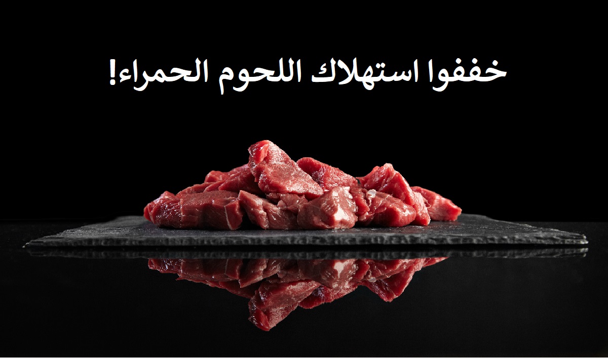 12 سبب علمي لكي تقللوا من استهلاك اللحوم