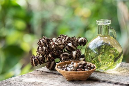 زيت الخروع، هل هو العلاج العالمي الذي نسيه الجميع ؟