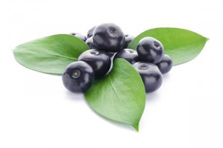 الآساي açai : هل هي فعلاً شجرة الحياة وطول العمر؟