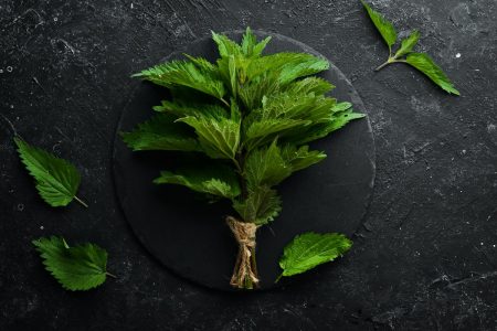 كيف تساعدكم نبتة القراص على محاربة مشاكل المفاصل، أوجاع الرأس والبروستات وتساقط الشعر