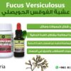كسل الغدة الدرقية