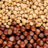Hazelnut