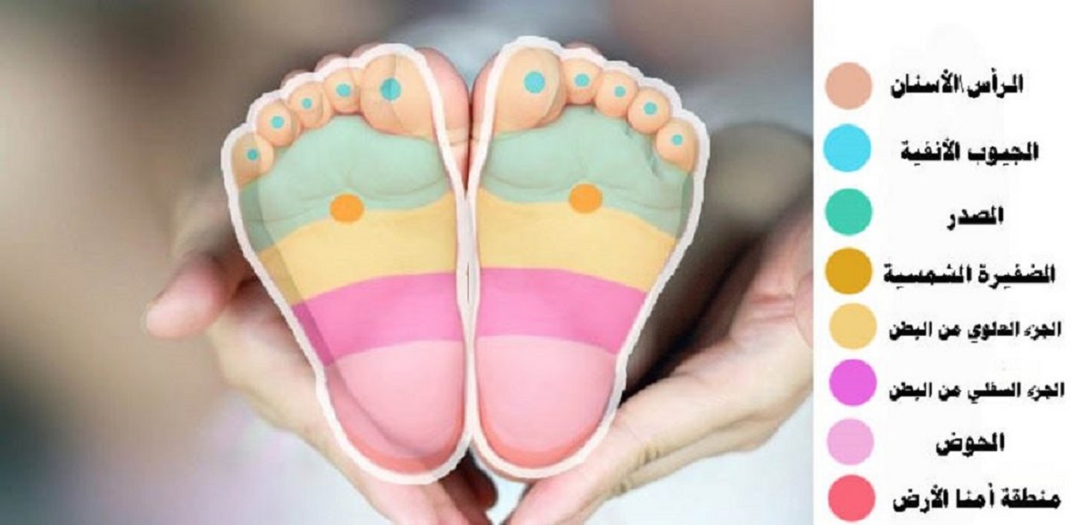 feet