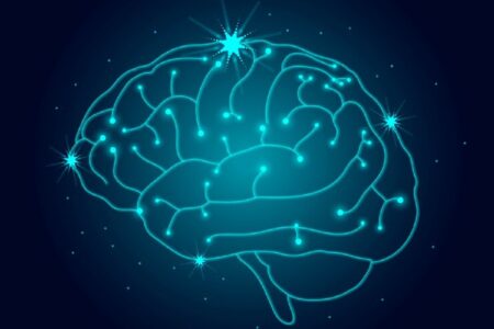 9 حقائق جديدة عن الدماغ، العضو الأكثر غموضاً في الجسم البشري
